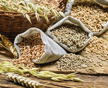 Перехідні запаси зерна в Україні цього сезону будуть найменшими за останнє десятиліття